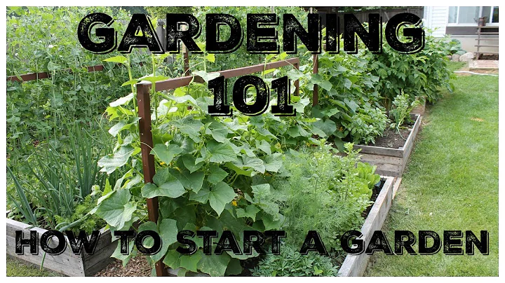 Gardening 101:  How To Start A Garden - DayDayNews