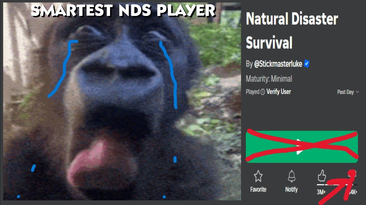 Natural Disaster Survival players are SUBHUMAN.