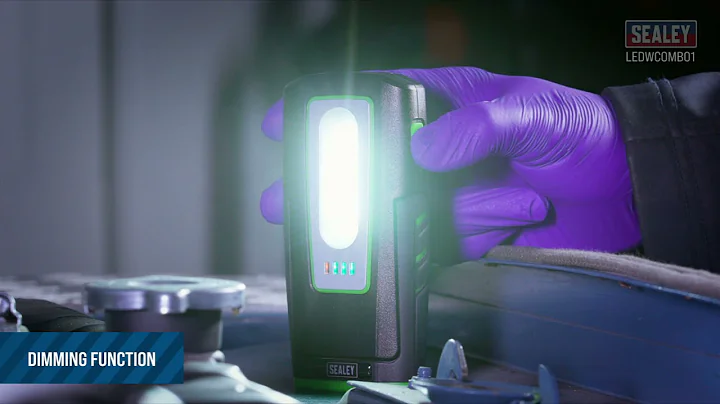 3W Inspection Light & Single Wireless Charging Base - LEDWCOMBO1