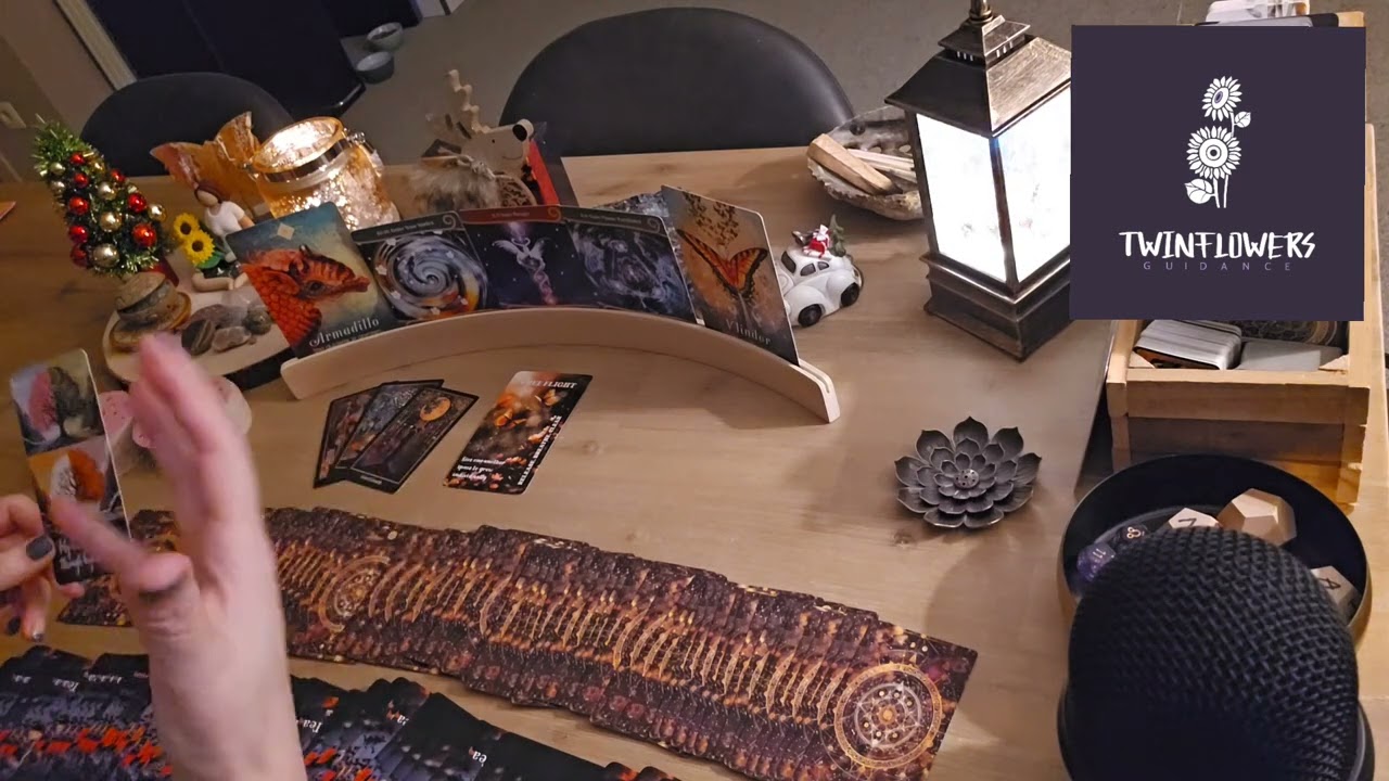 TWEELINGZIELEN: energetisch gesprekje 💞