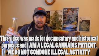 Mr.Canucks Grow TERMINATED!?!? WEEDTUBE CANNABIS COMMUNITY UNDER ATTACK ON YOUTUBE
