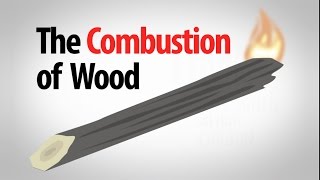 Science Spotlight: The Combustion of Wood