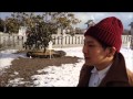 【20140110】苫小牧の初詣にアノ人と行ってきた！ の動画、YouTube動画。