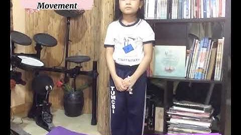 PE Performance Task 3