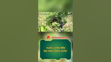 Trung đoàn 738, Bộ CHQS tỉnh Tây Ninh huấn luyện trên địa hình sông nước