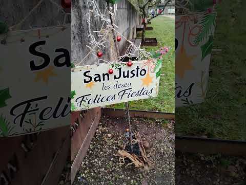 Cómo escarban los jabalíes