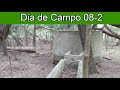 #08 - 2 - Paseo por el Monte