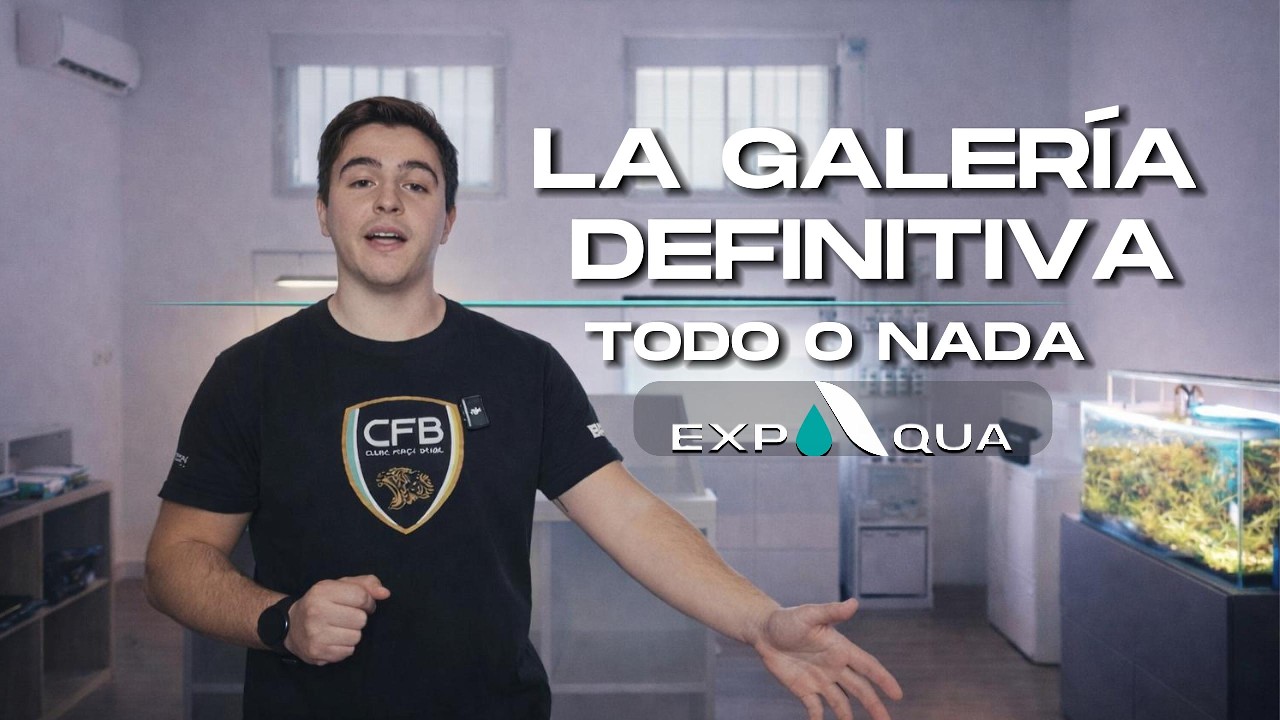 🔥 LA GALERÍA DEFINITIVA | TODO O NADA #expoaqua #gallery #shop #aquarium #fish