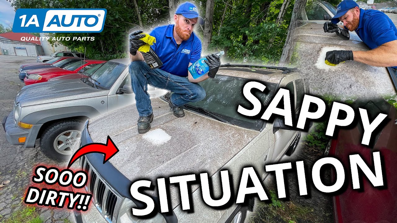 Tree Sweat, Pitch, and Sap All Over Your Car or Truck? Finding Out the ...