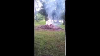 Aerosol Paint EXPLOSION Wealth