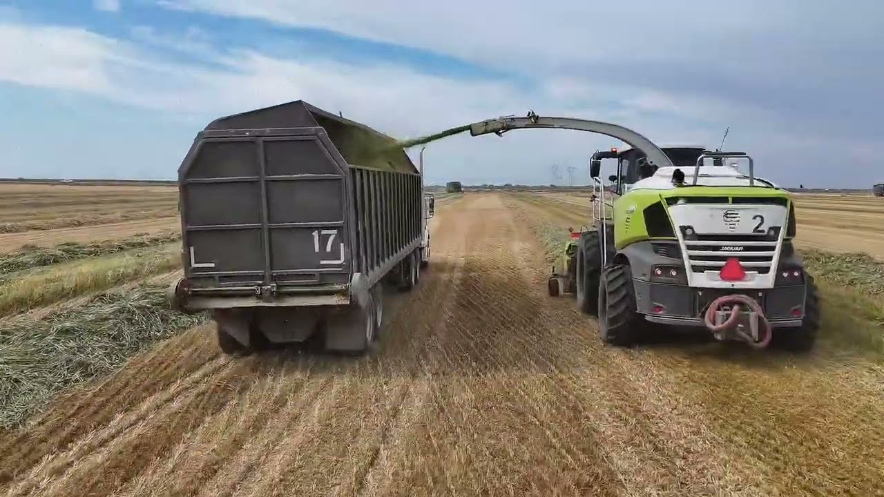 Harvesting thousands of acres In California 