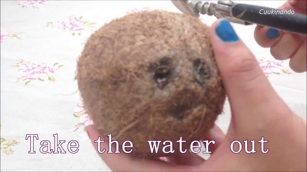 How to make coconut milk