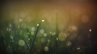 OVERWRITE BY YASHIKIN (VOCAL~EDITED)