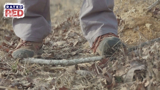 3 Tips For Being Stealthy In The Woods