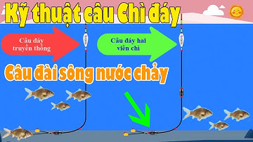 Kỹ Thuật Câu Chì Đáy Trong Câu Đài | Kinh Nghiệm Câu Cá Sông Nước Chảy Mạnh Cực Kỳ Hiệu Quả