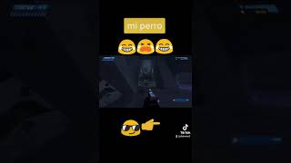 😪🤙#halomasterchiefcollection #diadelgamer #datwinxd #veranodegaming #clipsdetwitch #vidagamer #gamer