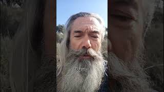 Τοξικοί άνθρωποι και ψυχική ηρεμία #τρεχάτοςμαντιναδολόγος #μαντινάδες #μαντινάδα