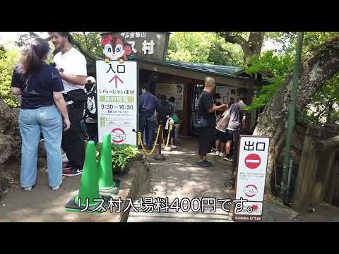 2025年６月　岐阜の新観光スポット岐阜城楽市で人気のモーニングを食べます！