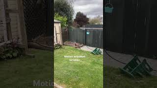 Well the neighbours cat won’t be pooping in my garden anymore Well the neighbours cat won’t be pooping in my garden anymore