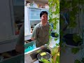 Satisfying Food Asmr #shorts