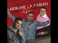 Florin Salam Si Adrian Minune Feat Sorinel Pustiu Nebunie La Fabian LIVE By DanParfum SCT01
