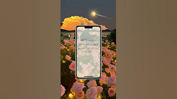 سورة الكوثر القارئ حسام الدين عبادي ماشاء الله القرآن الكريم 