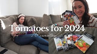 What Tomato Varieties am I Growing in 2024? 🍅🌱 by Onnie's Prairie Garden 1,692 views 3 months ago 14 minutes, 37 seconds