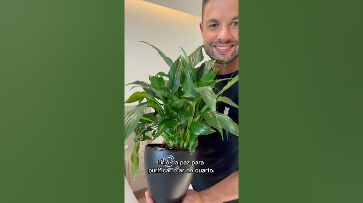 5 plantas para colocar no quarto! auto irrigável. https://www.plantie.com.br/?utm_source=YTshorts
