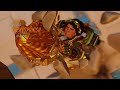 Sombra, YOU KNOW THE DRILL