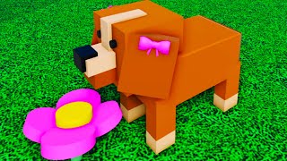 :    .           Pet Story Roblox