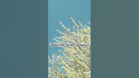 #سورة المؤمنون من ايه 83 الى 89