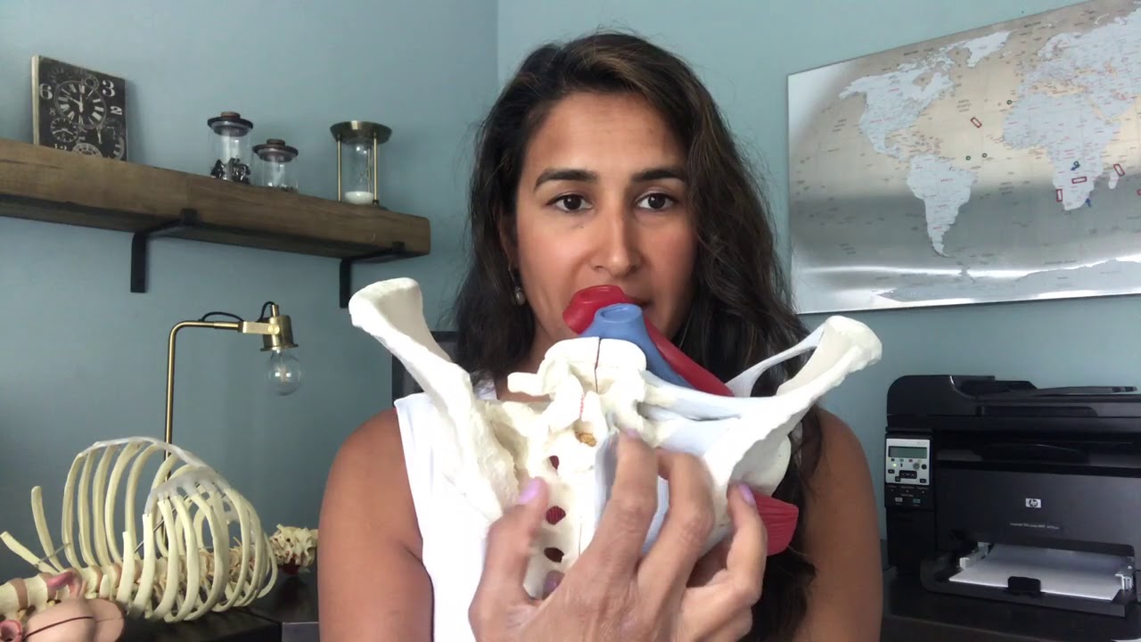 Остеит лобка