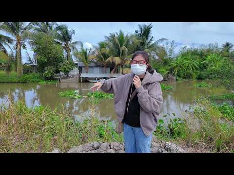 Bà con có khu xóm qua sông mỗi ngày bằng ghe phà, chỉ mong mỏi có được cây cầu để đi lại an toàn hơn