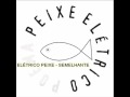 Peixe Elétrico - Semelhante