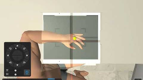 Radiography Simulation - Desktop Edition