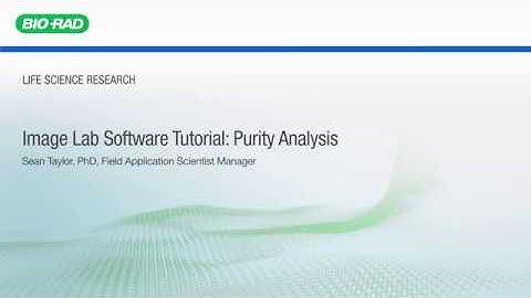 Image Lab Software Tutorial: Purity Analysis