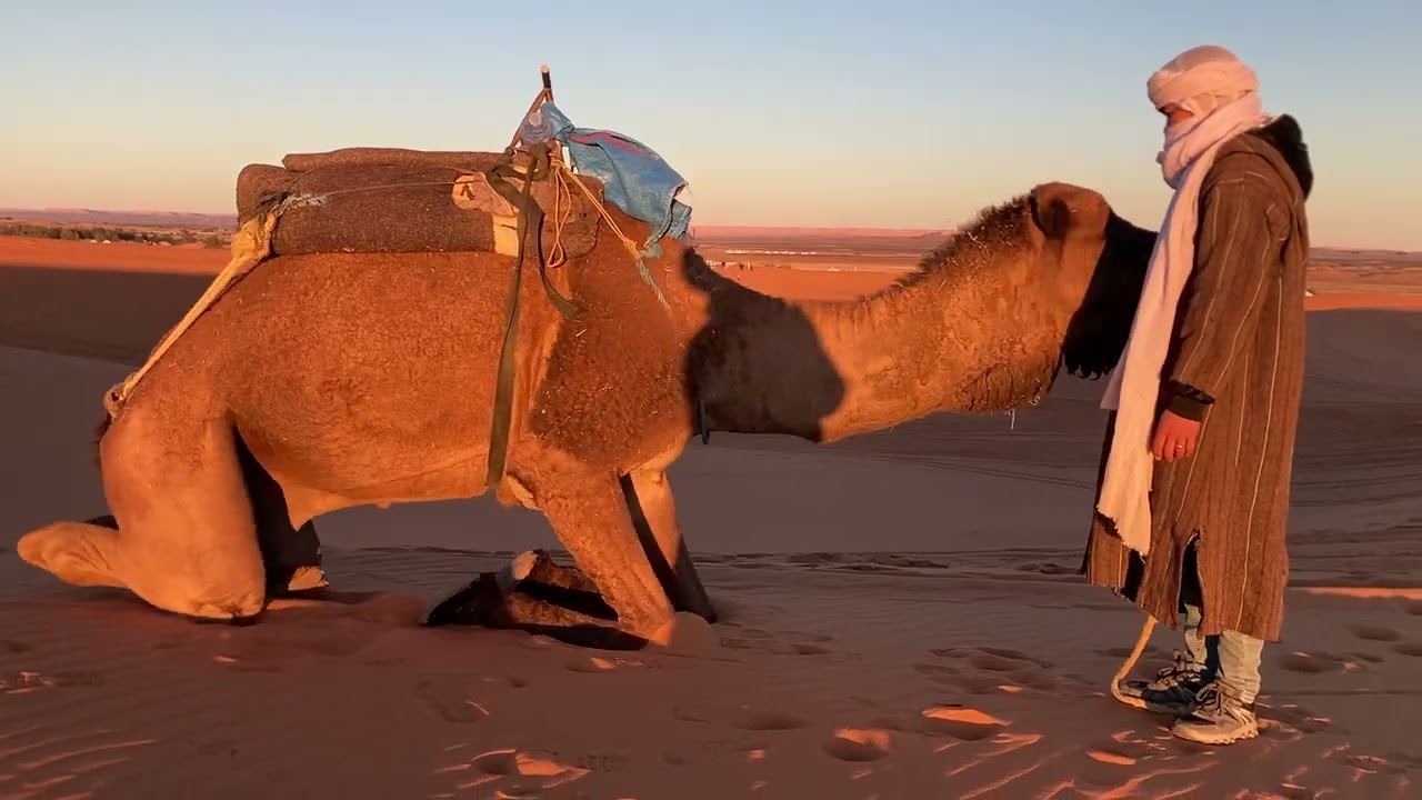 Getting the Camel to Sit Down Again