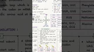 #Translation (Protein Synthesis) Made Easy! 🔥क्या Translation आपको मुश्किल लगता है? 🤔अब नहीं!