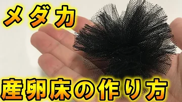 メダカの卵漬ける時に使うグッズおすすめ Mp3