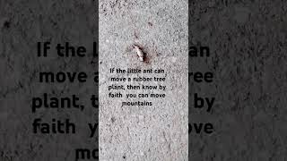 moving mountains that have not ever been moved #reallifestory #embracechange #selflove #mountains