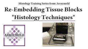A New and Old Techniques for Re-Embedding Paraffin Tissue Blocks
