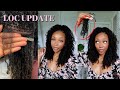 I LOST ALL OF THESE LOCS?! | DIY Microlocs Two Strand Twists Update