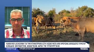 Καθολικό lockdown για την κτηνοτροφία στη Λέσβο μετά από κρούσμα αφθώδους πυρετού