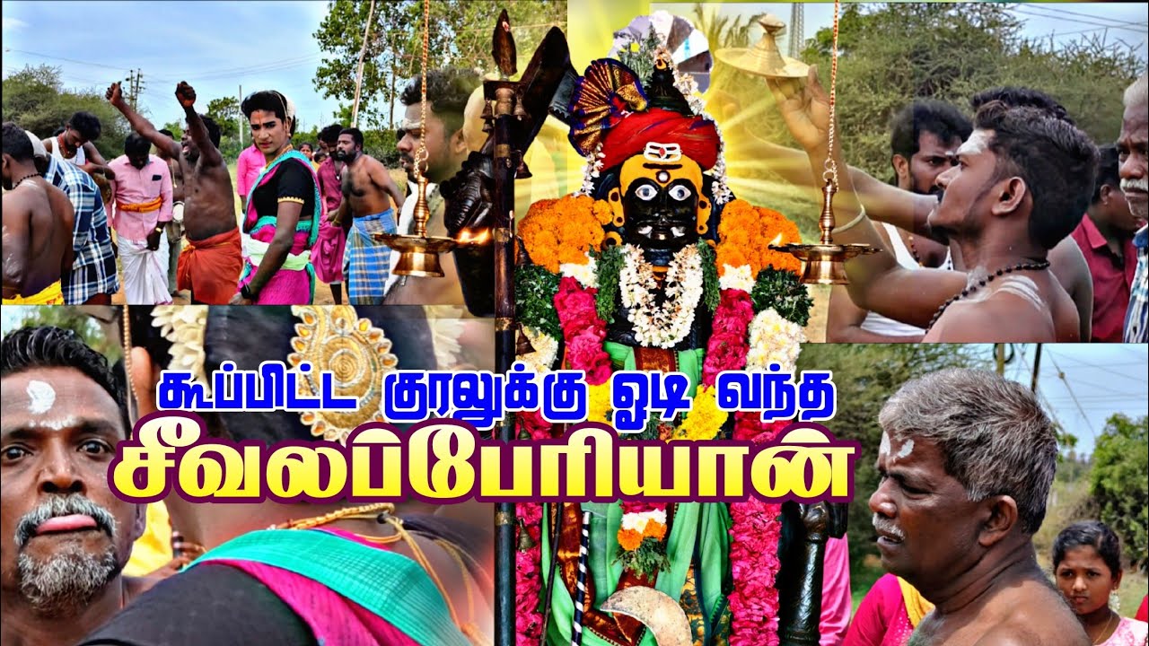 கூப்பிட்ட குரலுக்கு ஓடி வந்த சீவலப்பேரியான் ll பனைவிளை சீவலப்பேரி சுடலை கோவில் கொடை ll RDS MEDIA 