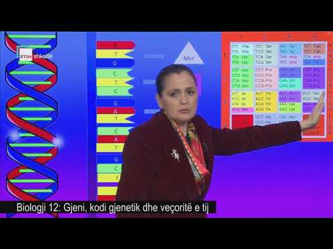 Video: Çfarë është uniteti dhe diversiteti në biologji?