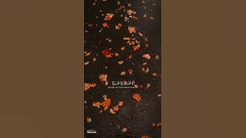 سورة فصلت الاية-30 القارئ محمد اللحيدان #القرآن_الكريم#محمد_اللحيدان #سورة_فصلت#اكتب_شي_تؤجر_عليه
