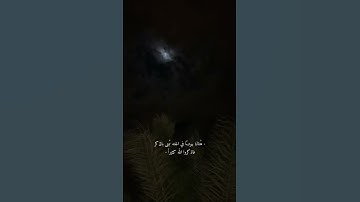 قرآن كريم - حالات واتس اب دينية - تلاوه تريح القلب 🕊🖤