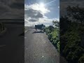 エッ！？普通に和牛がお散歩していた！島はやっぱりすげーなー