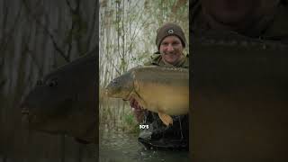 Spring Carp Fishing Buzz Tag Us In Your Captures