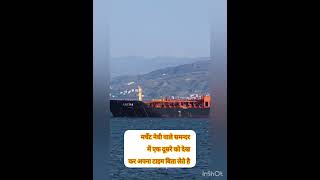 समन्दर में बहुत जानवरहै #worldwideshipping #ship #travel